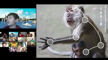 Graceful Tree Conjecture - PuzzleTime ages 7+