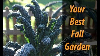 Fall Gardening: Where To Begin and 3 Tips To Maximize Your Autumn Garden (2019)