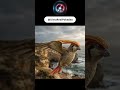 Pidgeot in Real Life Looked Majestic