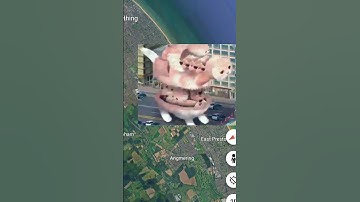 I Found Giant Cat 😶‍🌫️😳 on google maps 🗺️#shots #trending #map #scary #datadefender4u