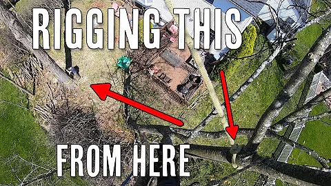 Rigging Trees Whole! I HOPE THIS WORKS