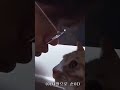 Leeknow With His Cats ЁЯШ ЁЯШ ЁЯШ Straykids Leeknow Soonie Doongie Dori Leeknow With His Cats ЁЯШ ЁЯШ ЁЯШ Straykids Leeknow Soonie Doongie Dori