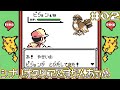ピカ版名物低レベル野生のピジョン【ポケットモンスターピカチュウ】