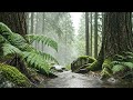Deep Relaxation & Peaceful Sleep Music | Calming Piano & Nature Sounds