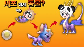 세포에서 동물이 된다고?? 신기한 동물들이 탄생하는 동물 키우기 ㅋㅋ 그로우 애니멀 grow animals [꿈토이 꿀잼 모바일게임]