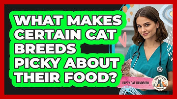 What Makes Certain Cat Breeds Picky About Their Food? - Happy Cat Handbook