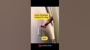 Junior Developer trying to fix a bug