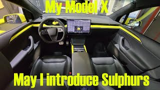 My Model X May I introduce Sulphurs