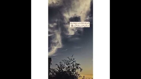 تلاوة رائعة بصوت عذب تنصت له الجوارح 😴😭💝