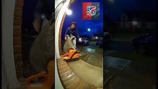 🤣 OMG! A Raccoon CAUGHT On Camera With a Toy Chainsaw! 💀🦝💥 #racoon #viral #chainsaw #billionaire