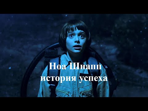 Ноа Шнапп - история успеха