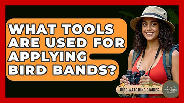 What Tools Are Used For Applying Bird Bands? - Bird Watching Diaries