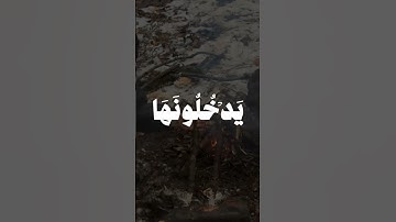 سورة النحل | #quran #المنشاوي