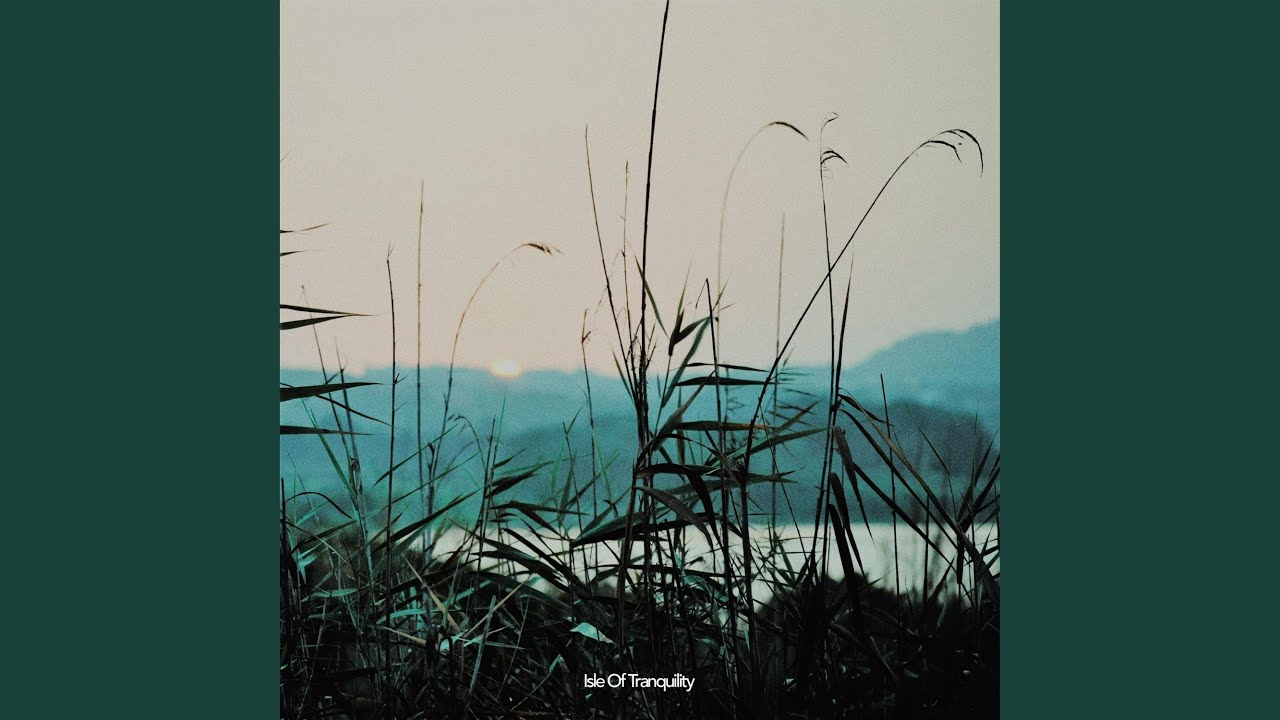 There Is A Beautiful Cave Down The Hill Where Trees Grow Without