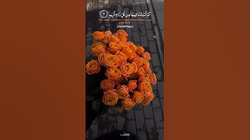 سورة الشعراء🎧| اللهم الخيرة في أقدارك فلا خيرَ إلا خيرُك♡ #تلاوة القارئ عمر سيلدينسكي