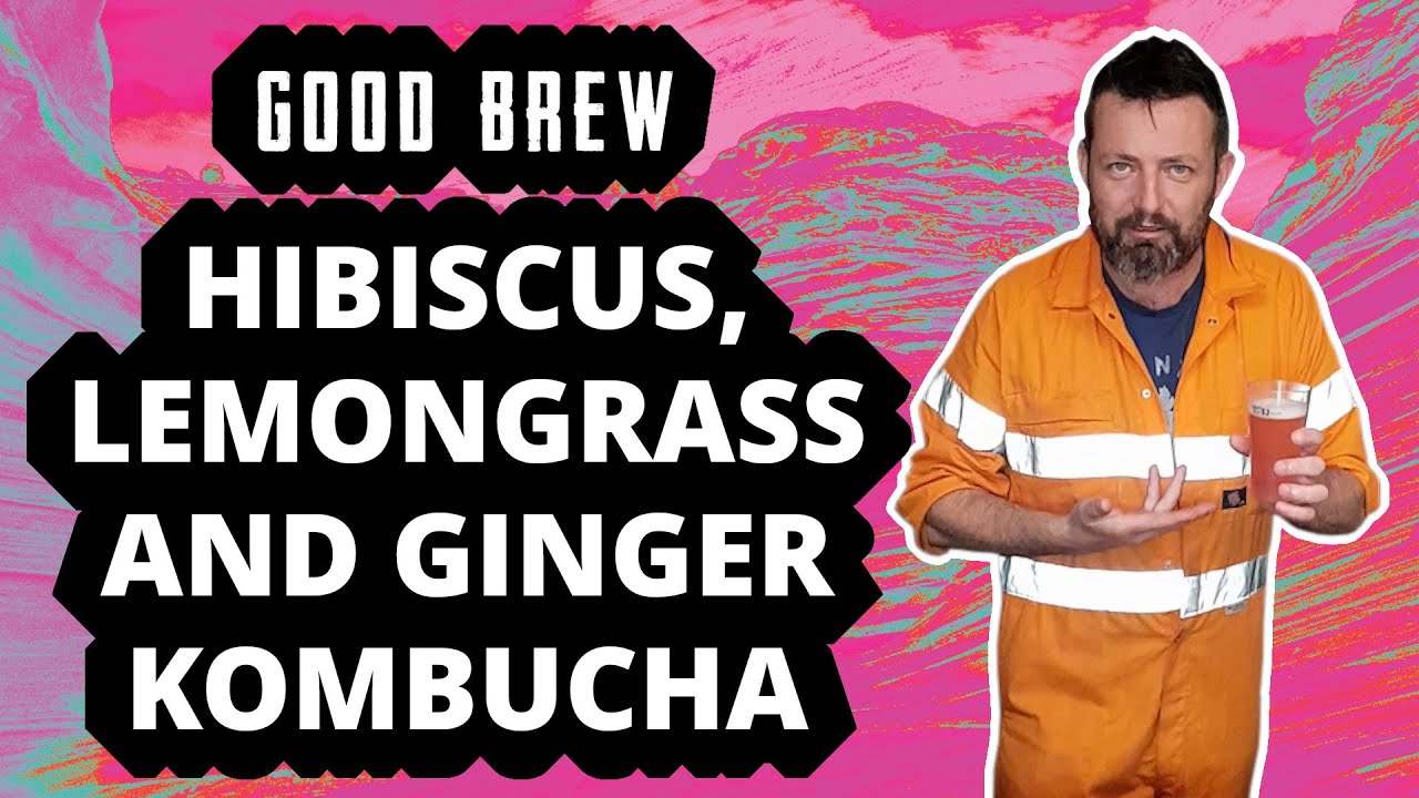 Hibiscus, Lemongrass and Ginger Kombucha - The Good Brew Company