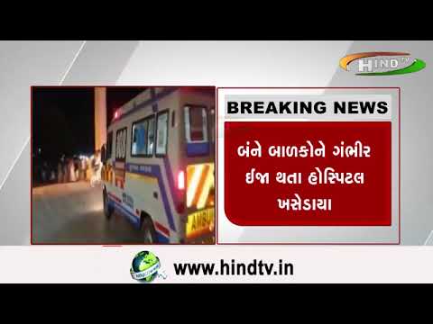રાજ્યમાં રખડતા શ્વાનનો આંતક યથાવત