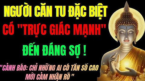 “Người Căn Tu Có Trực Giác Mạnh Đến Đáng Sợ, Càng Biết Nhiều Lại Càng Cô Đơn | Tu Tâm Tĩnh Lặng”