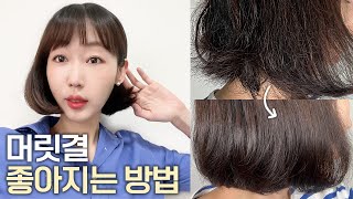 0원으로 머릿결 좋아지는 방법🧖🏻‍♀️ 하루 만에 성공! (ft. 변화 인증 ⭕️)