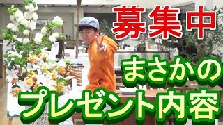 当選者の所に飛んでいきます！！プレゼント企画の内容＆募集方法のお知らせ☆