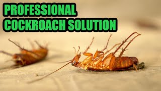 How A Professional Kills Roaches - You Can Too!