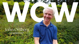 Appreciating Beauty Excellence Finding Joy In Everyday Wonders John Ortberg