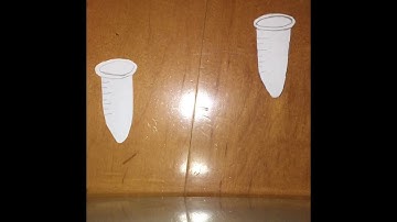 DNA Microarray Part 1