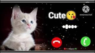 Cute baby message ringtone || message tone || cute sms ringtone || Love ringtone | notification tone
