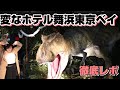 【ディズニー宿泊者必見!】変なホテル舞浜東京ベイ宿泊したら恐竜がいて最高すぎた!最先端すぎ!!