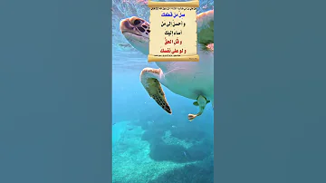Nebigu N N K H Waxa Uu Nabarayaa Dhaqanka Wanaagsan 
