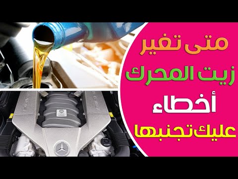 فيديو: الثروة الحيوانية - ما هذا؟