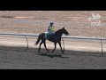 View race 4 video for 2019-07-27