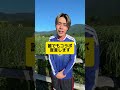 誰でもコラボする宣言