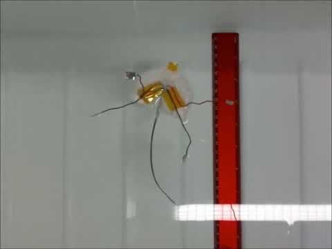 Swimming of DEA fish robot