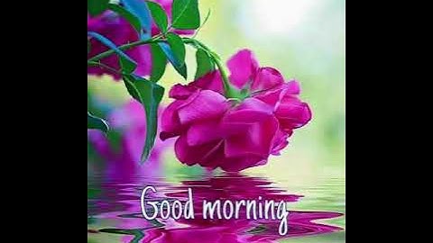 Class 2 We need animals (Reading)