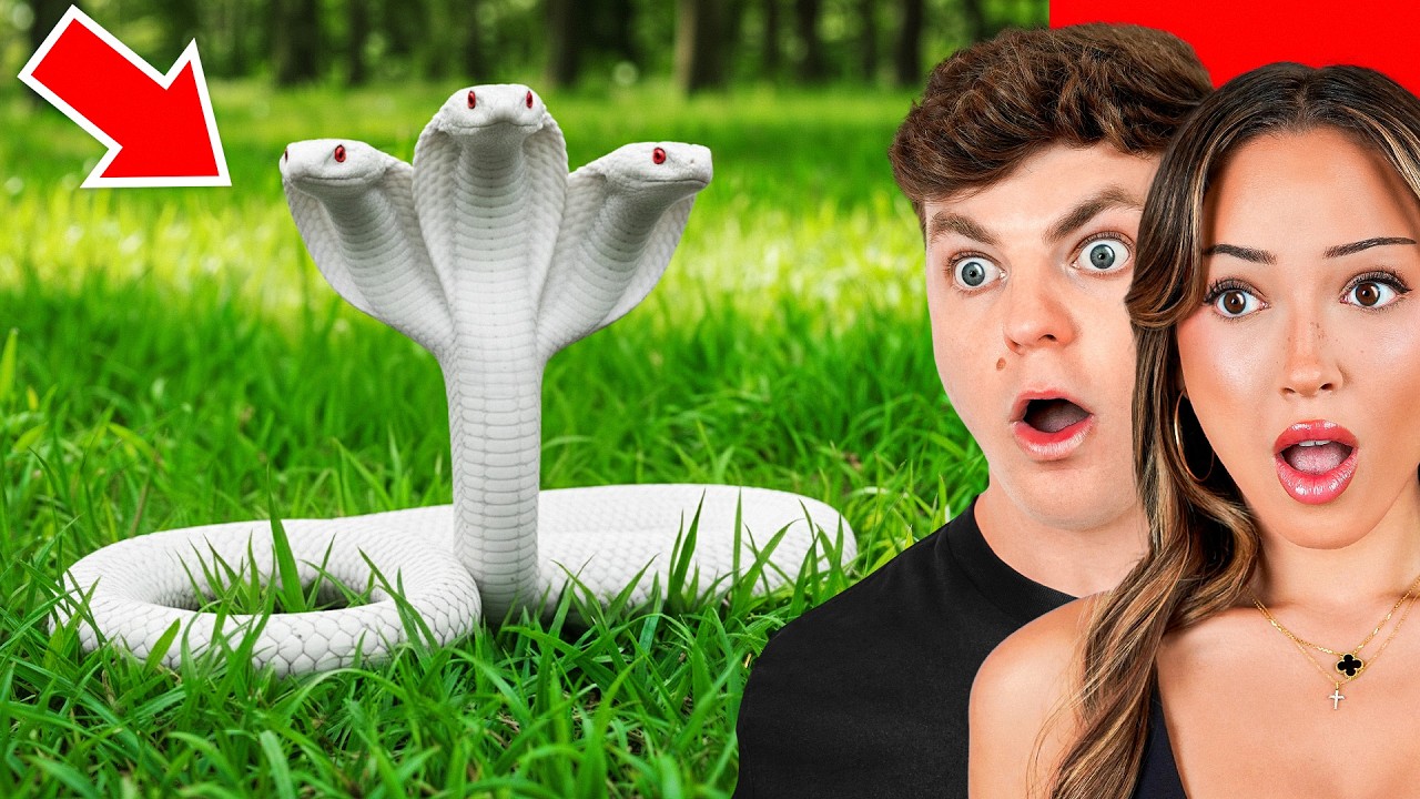 RARE Animals That ACTUALLY Exist! 