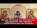 Когда Господь не исполняет прошения, это особое избранничество Божие. Священник Игорь Сильченков