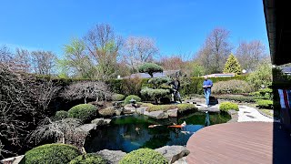 Modern Koi Blog #4477 - A water analysis of Thorsten's dream pond