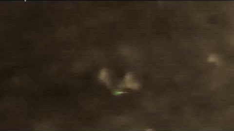 Influensavirus angriper celle