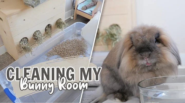 Cleaning my Bunny Room