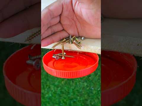 Clever hack and idea with bottle caps! #highlights #ideas #short #Tools #lifehack #viralvideoシ #DIY