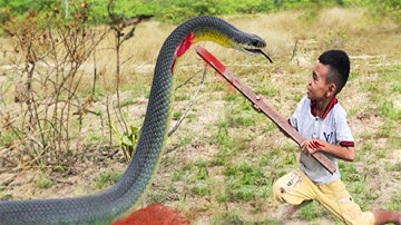 Easy Snake Trap | Best Creative DIY Snake Trap Using Hoe (That Work 100% )