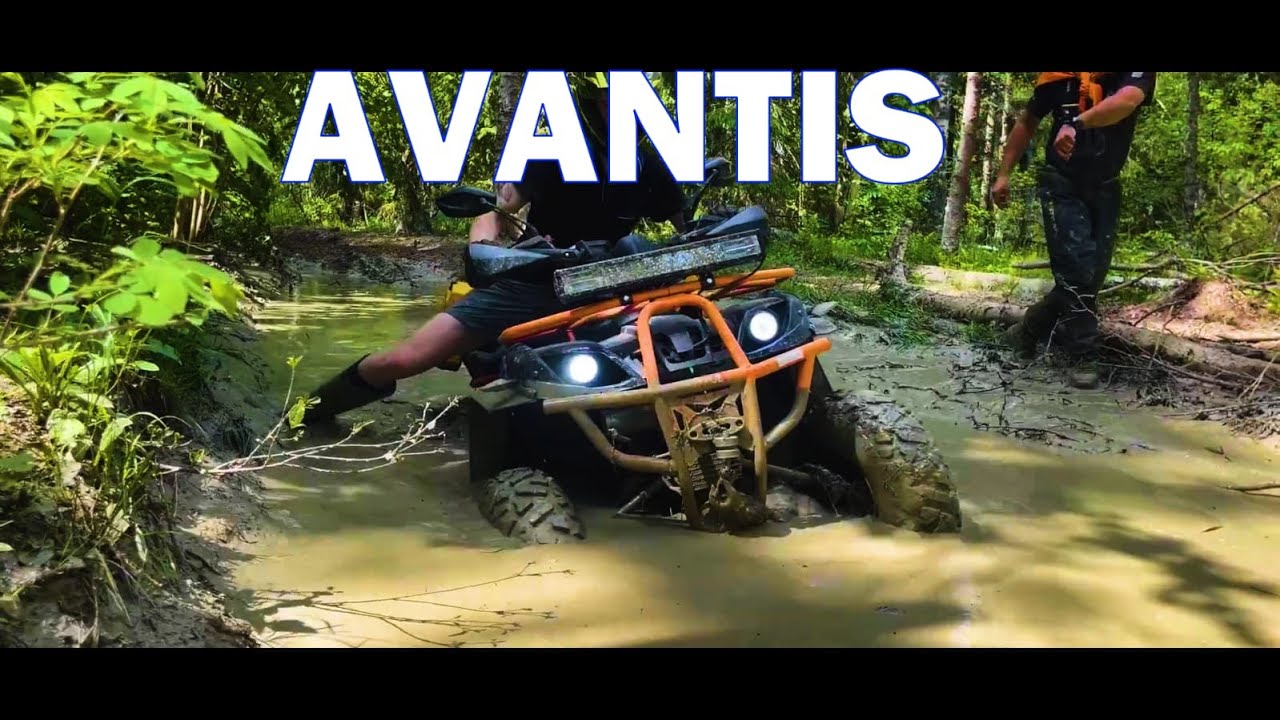 AVANTIS HUNTER 200 - Best choice