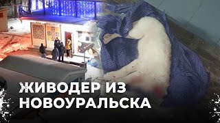 Кровавая ночь в Новоуральске: Мужчина забил щенка до смерти. Истошный крики животных ночи напролет