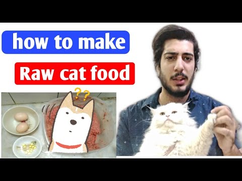 how-to-make-raw-cat-food-recipe-|-homemade-cat-food-at-home-|-persian-cat-food-|in-urdu-and-hindi