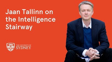 Jaan Tallinn on the Intelligence Stairway