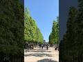Beautiful spring in Paris 巴黎美丽的春天