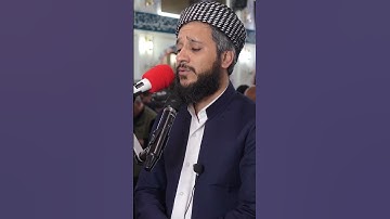 تلاوة نادرة .. لماتیسر من سورة القلم للقارئ مصطفی فاروق الكردي