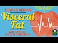 How to Reduce Visceral Fat (aka "Belly Fat")