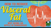 Visceral Fat Explained - YouTube